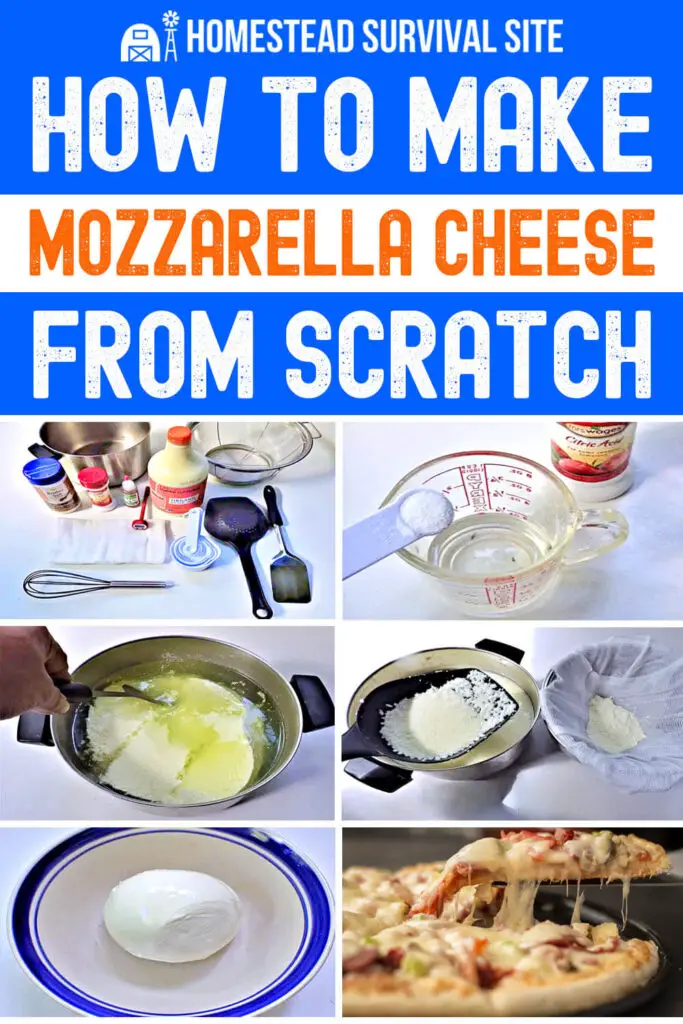 How To Make Mozzarella Cheese From Scratch