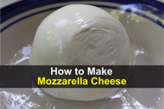 How to Make Mozzarella Cheese