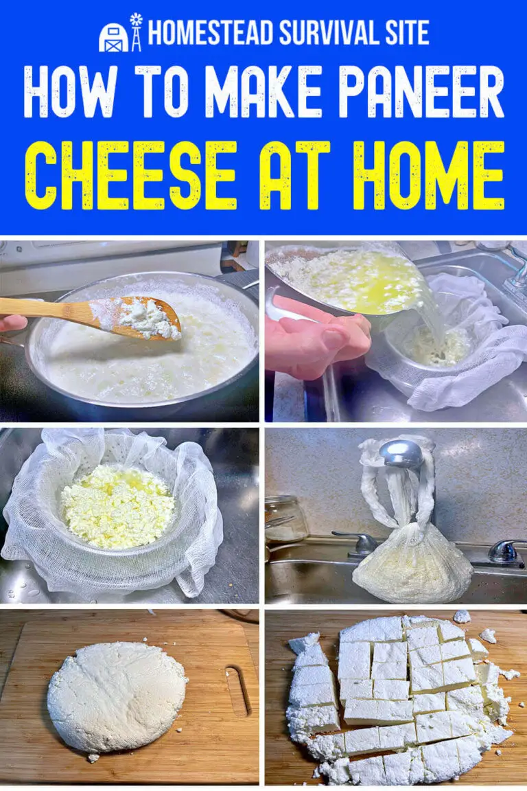 How to Make Paneer Cheese at Home
