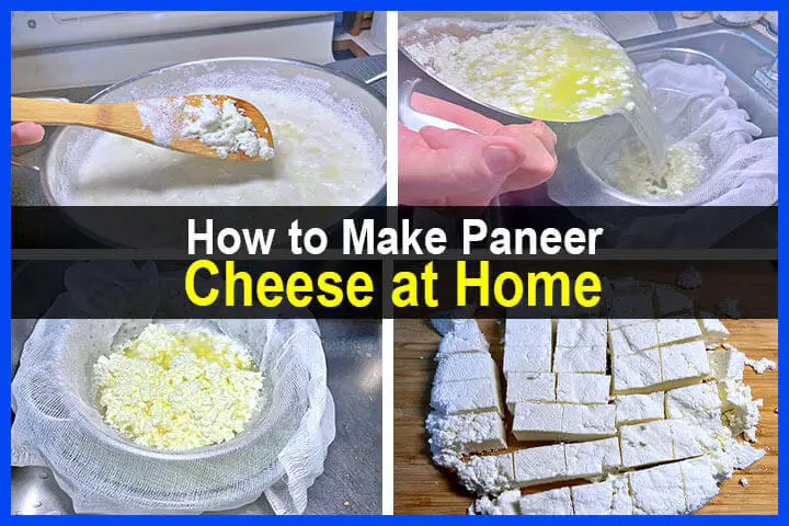 How to Make Paneer Cheese at Home