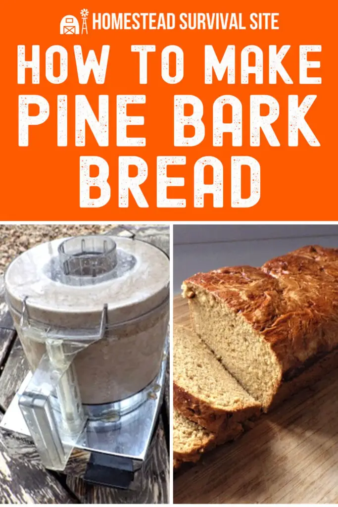 How to Make Pine Bark Bread