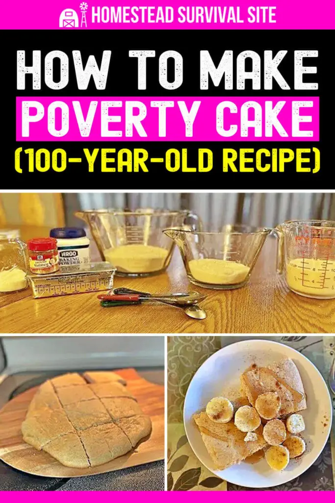 How to Make Poverty Cake (100-Year-Old Recipe)