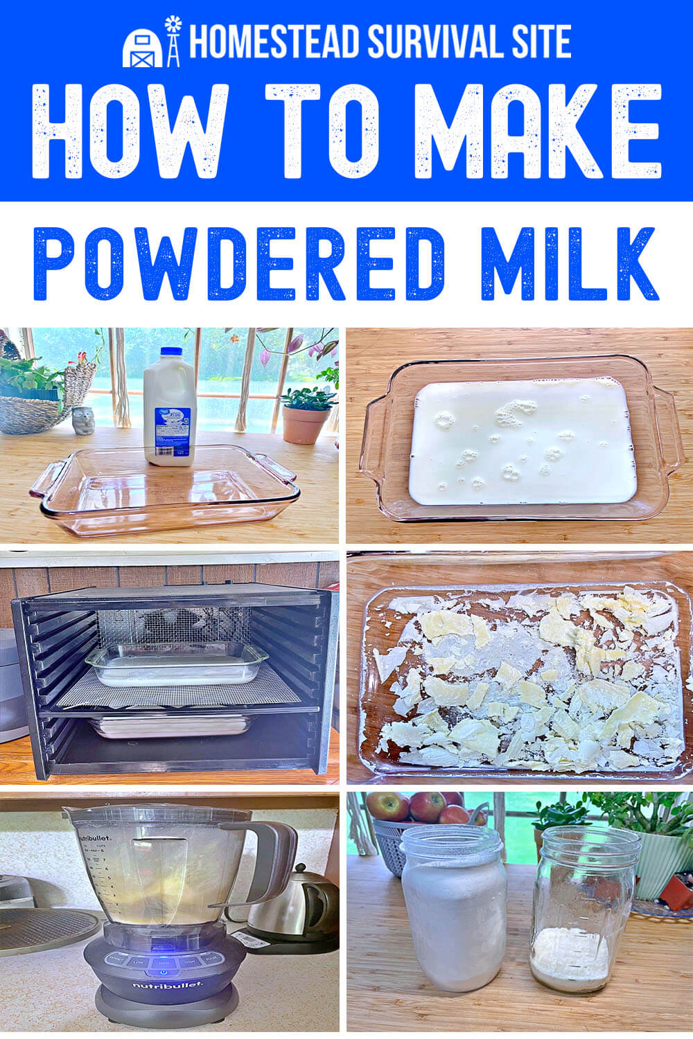 How to Make Powdered Milk