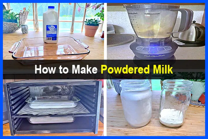 How to Make Powdered Milk