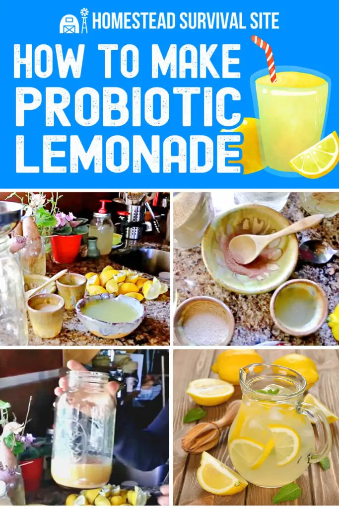 How To Make Probiotic Lemonade