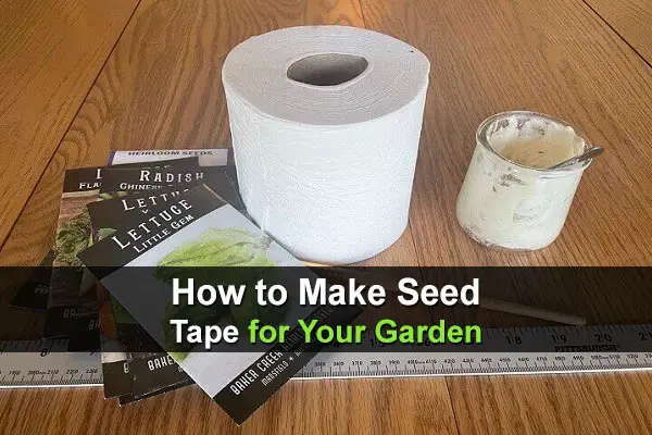 How to Make Seed Tape for Your Garden