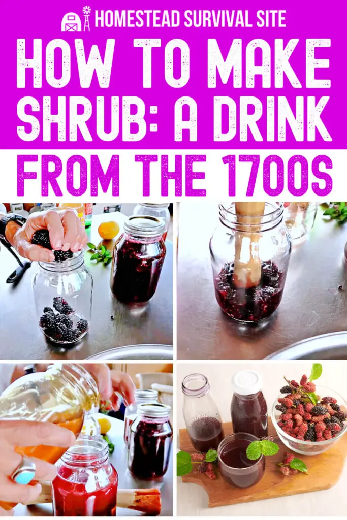 How To Make Shrub: A Drink From The 1700s