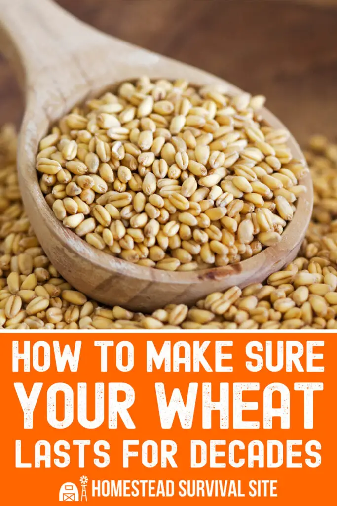 How to Make Sure Your Wheat Lasts for Decades