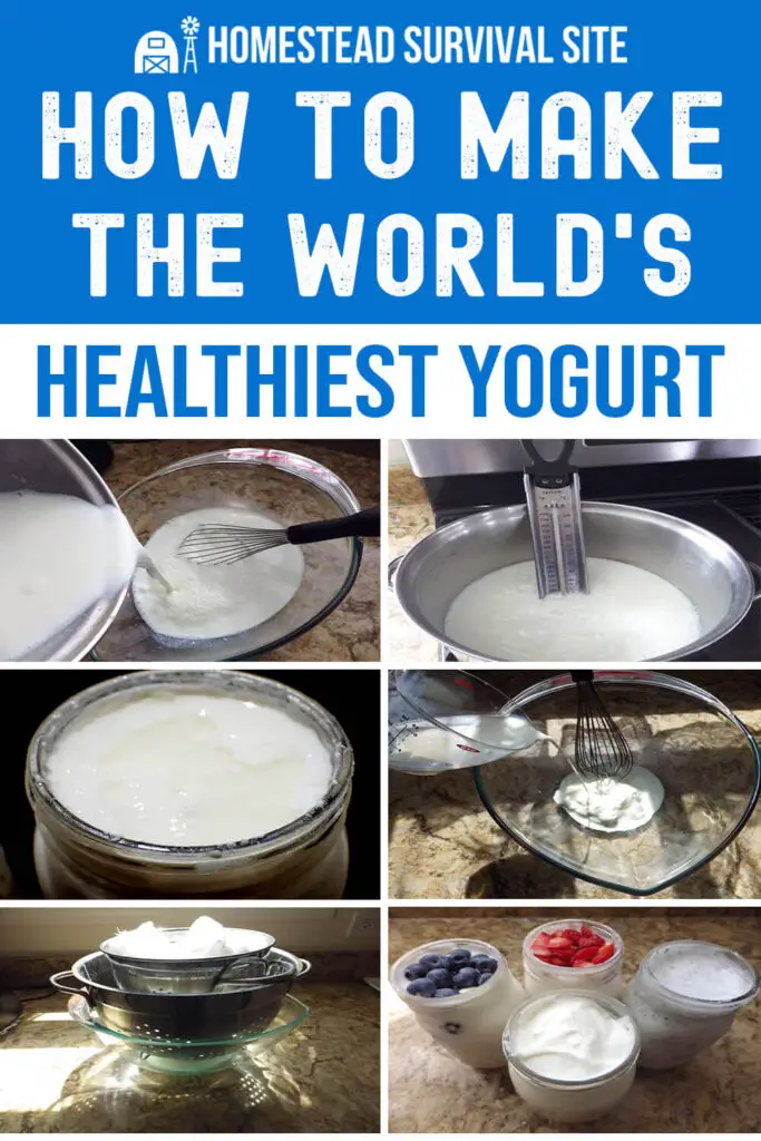 How to Make the World's Healthiest Yogurt Recipe