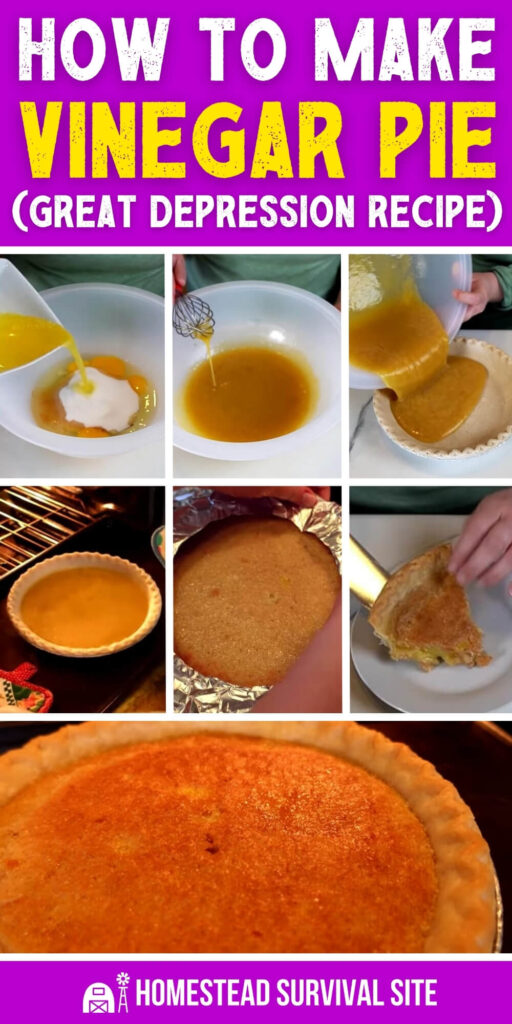 How to Make Vinegar Pie (Great Depression Recipe)