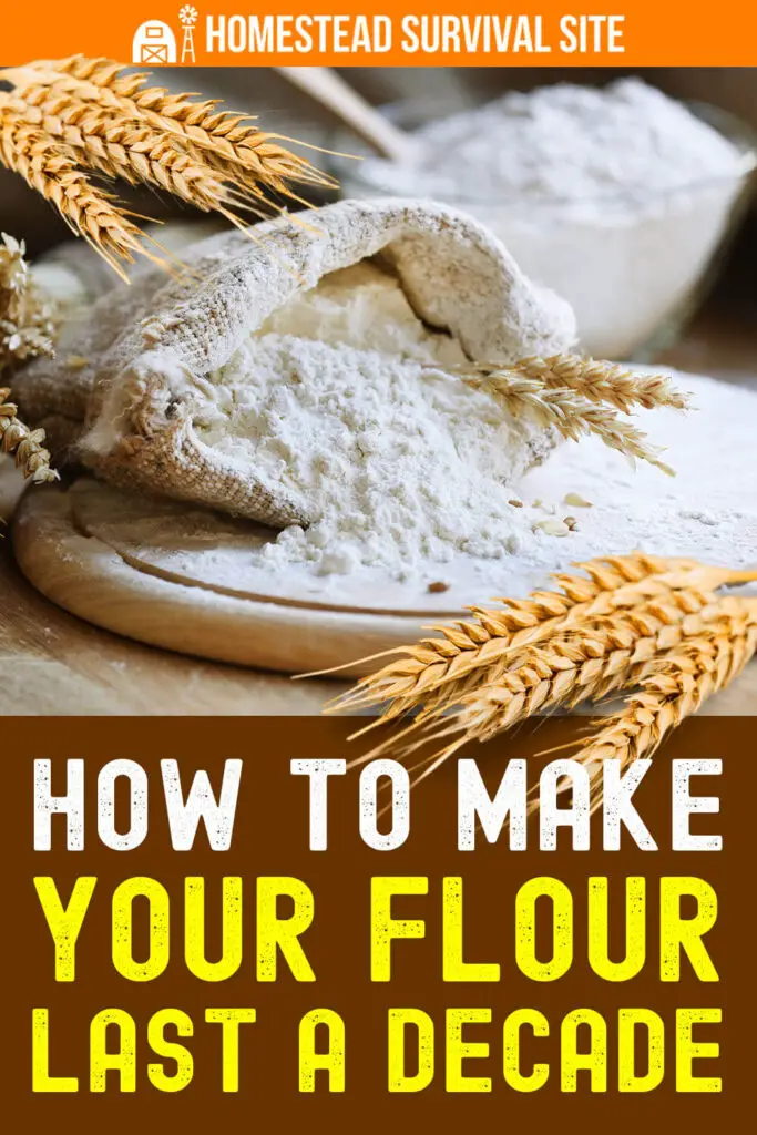 How to Make Your Flour Last a Decade (or Longer)