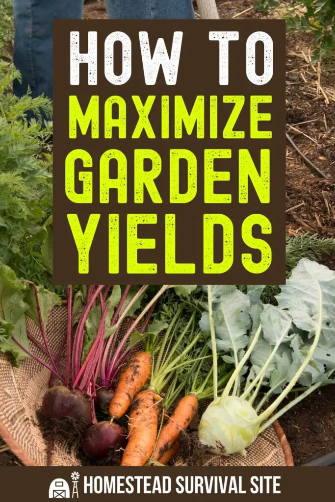 How to Maximize Garden Yields