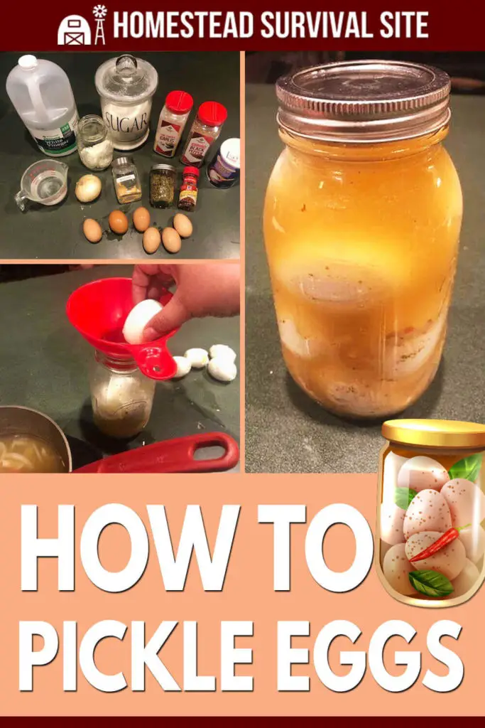 How To Pickle Eggs