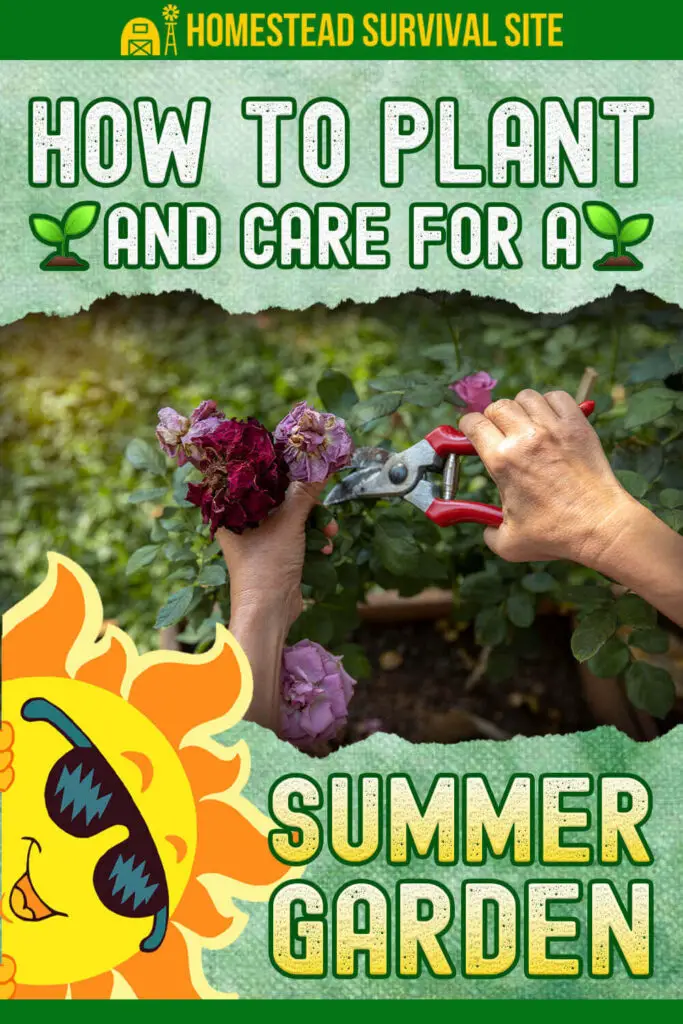 How to Plant and Care for a Summer Garden