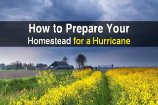 How to Prepare Your Homestead for a Hurricane
