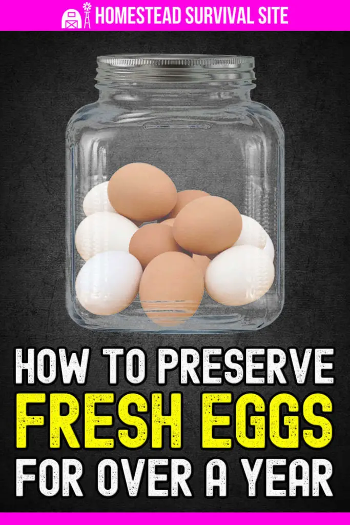 Water Glassing: How to Preserve Eggs for Over a Year