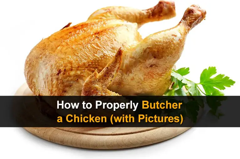 How to Properly Butcher a Chicken (With Pictures)