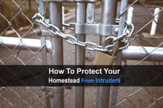 How To Protect Your Homestead From Intruders