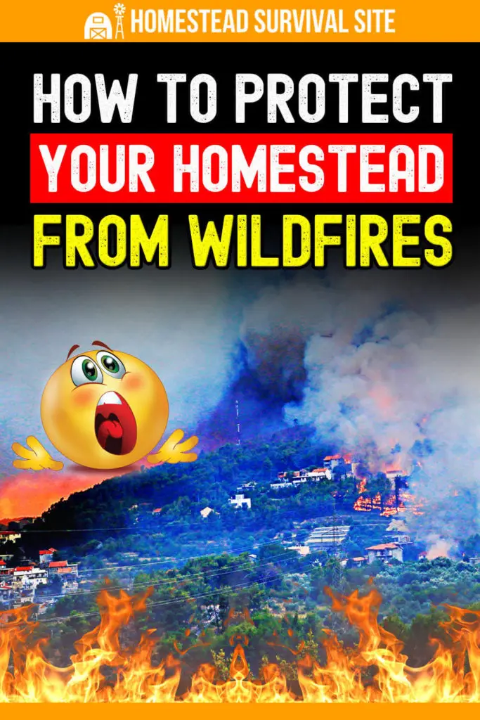 How to Protect Your Homestead from Wildfires