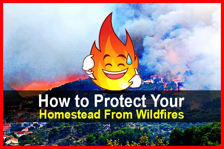 How to Protect Your Homestead from Wildfires