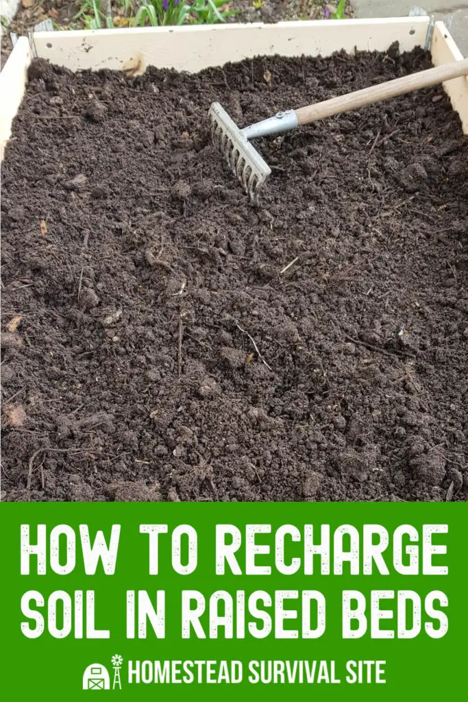 How to Recharge Soil in Raised Beds