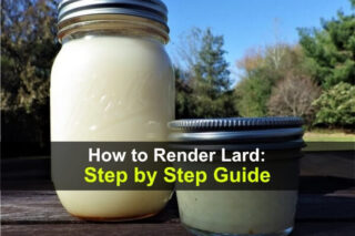 How to Render Lard: Step by Step Guide