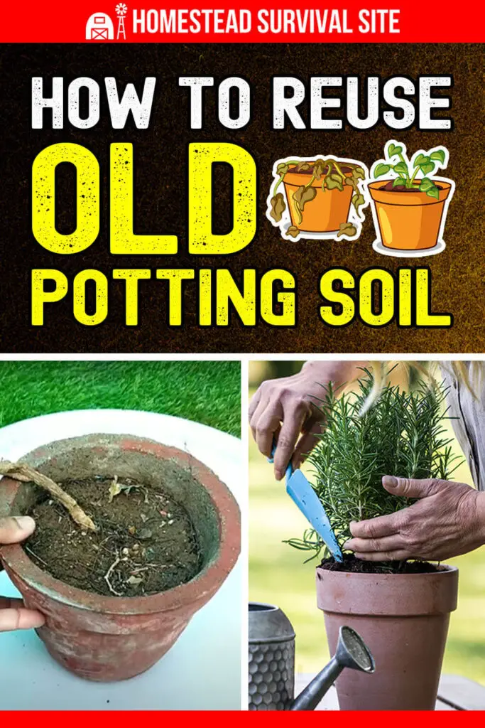 How to Reuse Old Potting Soil