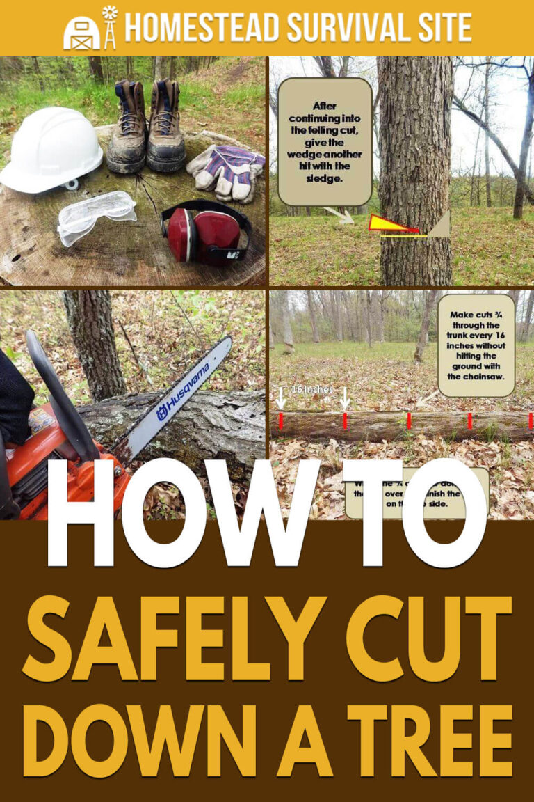 How To Safely Cut Down A Tree