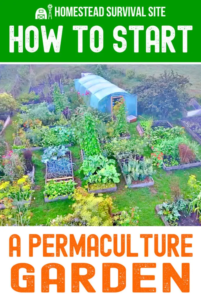 How to Start a Permaculture Garden