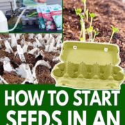 Pinterest Hidden Image