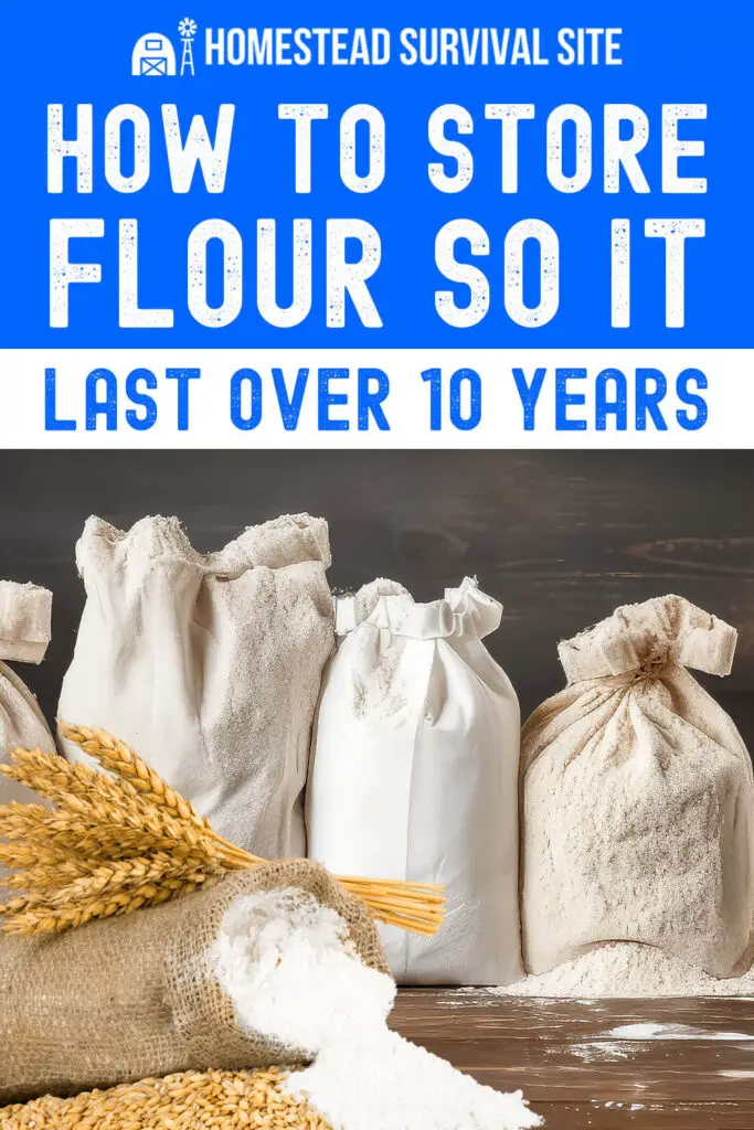 How to Store Flour So It Lasts Over 10 Years