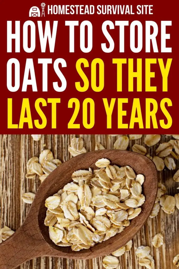 How to Store Oats So They Last 20 Years