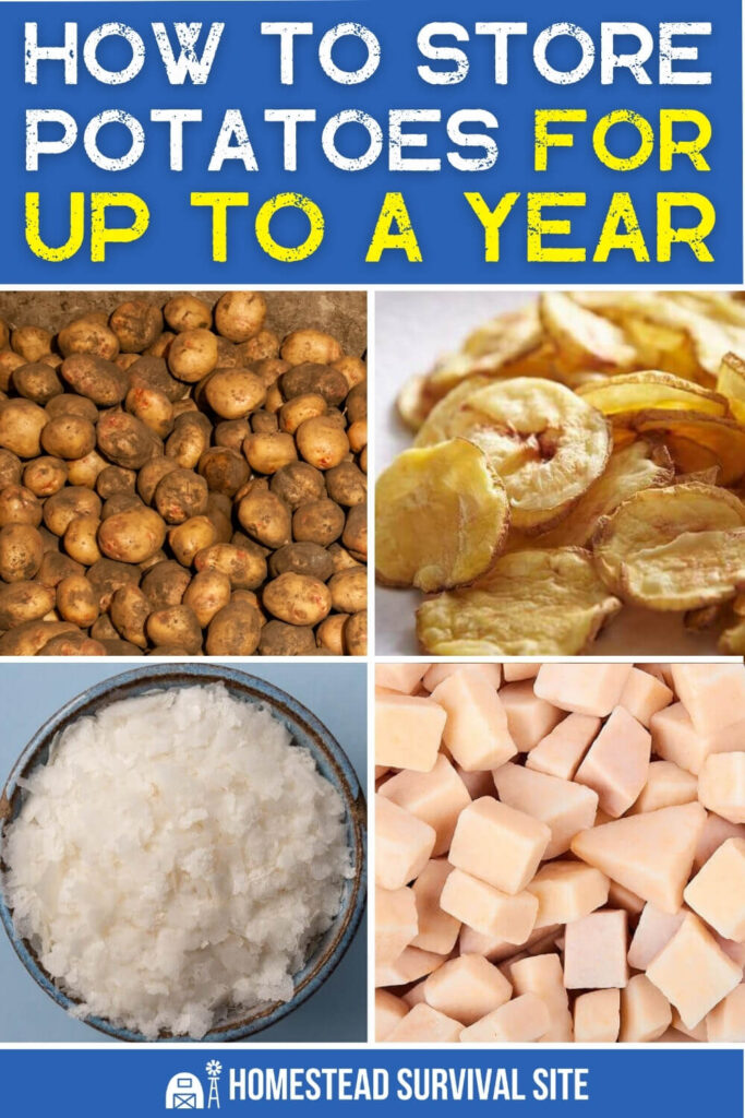 How to Store Potatoes for Up to a Year