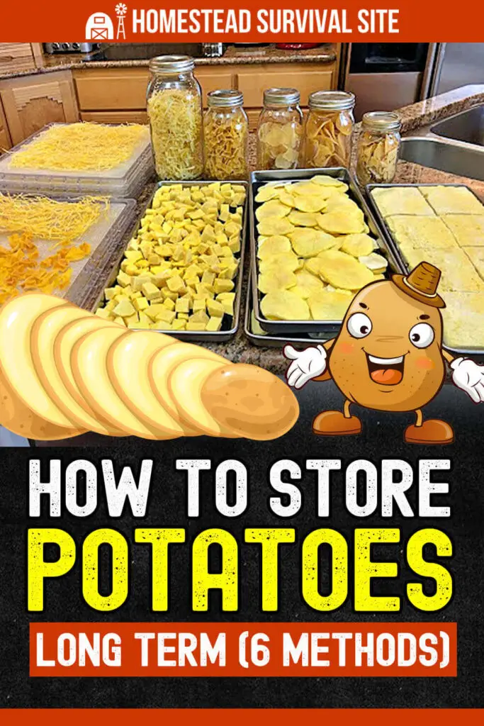 How to Store Potatoes Long Term (6 Methods)