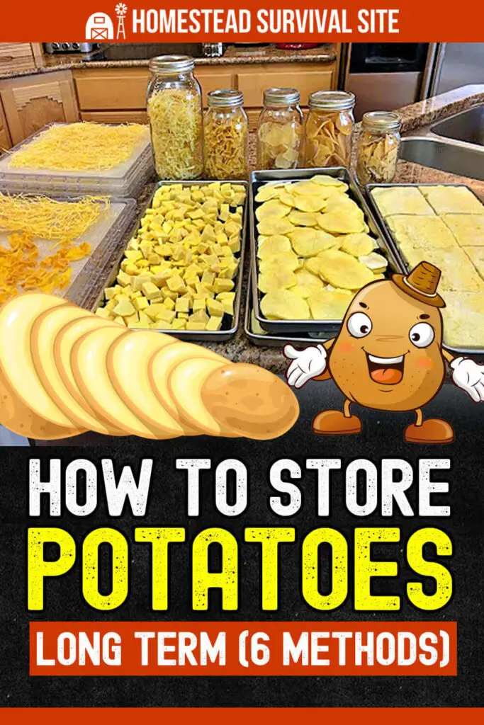 How To Store Potatoes Long Term 6 Methods   How To Store Potatoes Long Term 6 Methods Pin 1 683x1024 