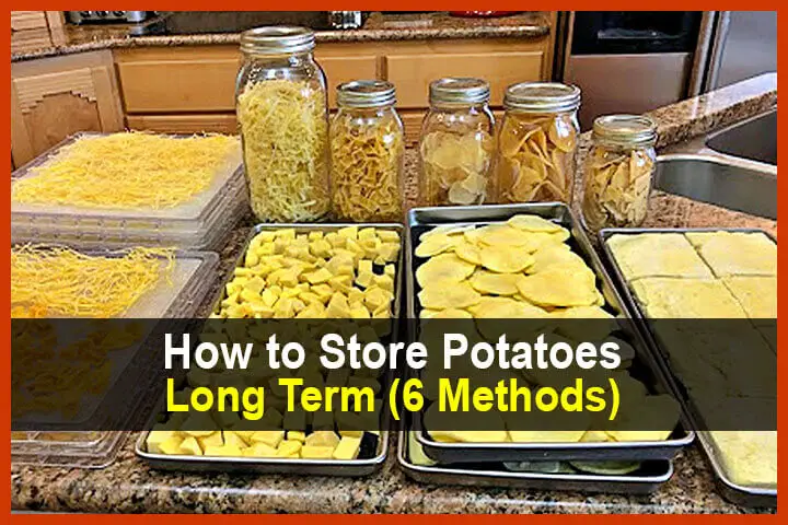 How to Store Potatoes Long Term (6 Methods)