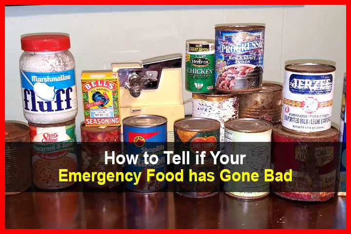 How to Tell if Your Emergency Food has Gone Bad
