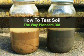 How To Test Soil The Way Pioneers Did