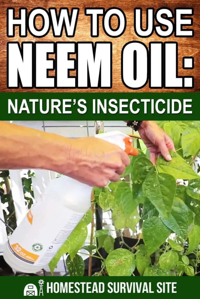 How to Use Neem Oil: Nature’s Insecticide
