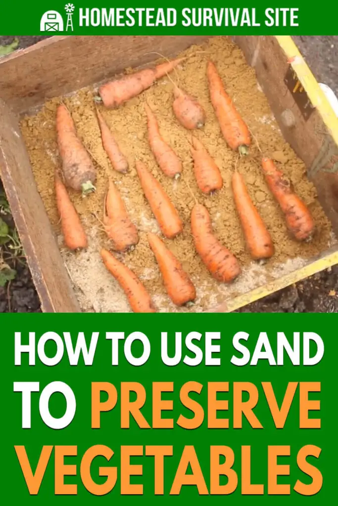 How To Use Sand To Preserve Vegetables