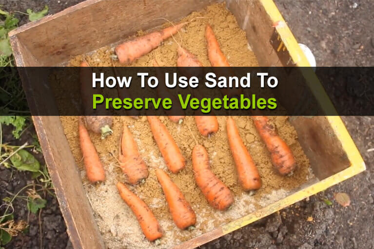 How To Use Sand To Preserve Vegetables