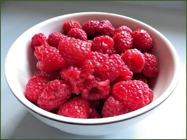 Hybrid Red Raspberries