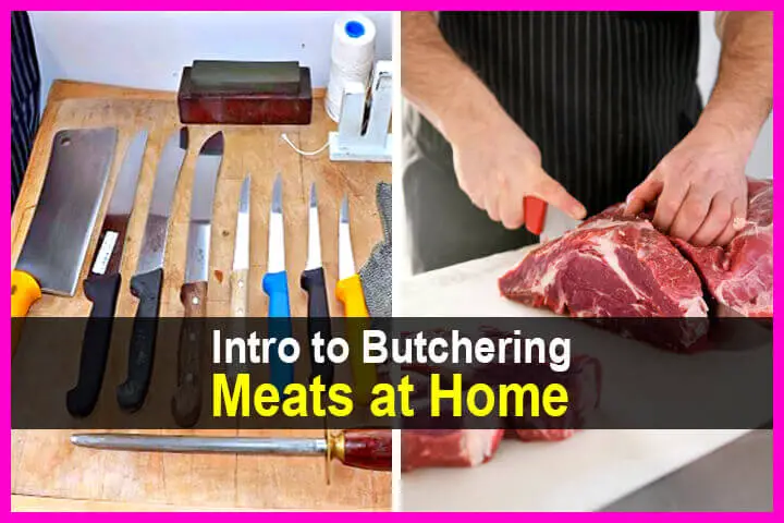 Intro to Butchering Meats at Home