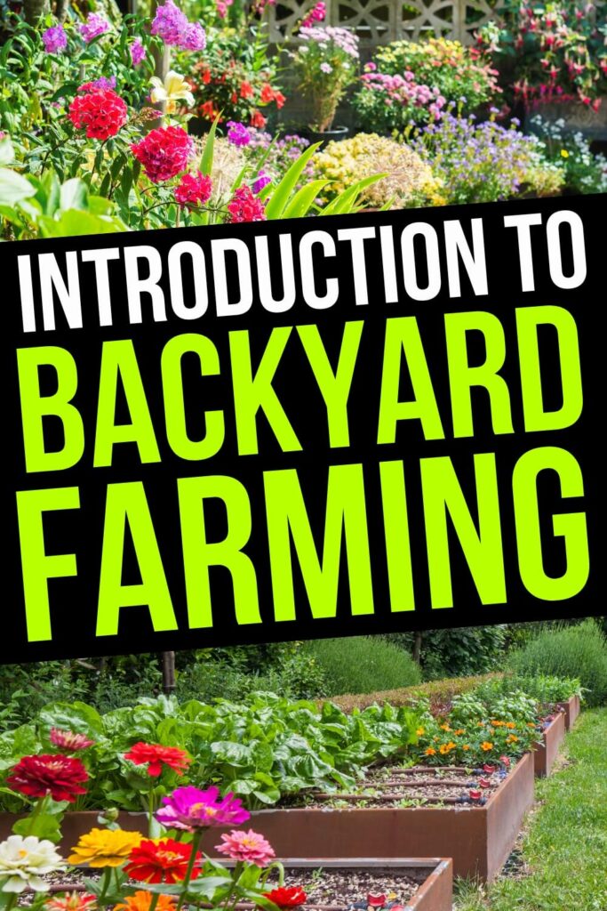 Introduction to Backyard Farming