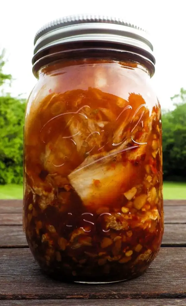 Jar of Kimchee