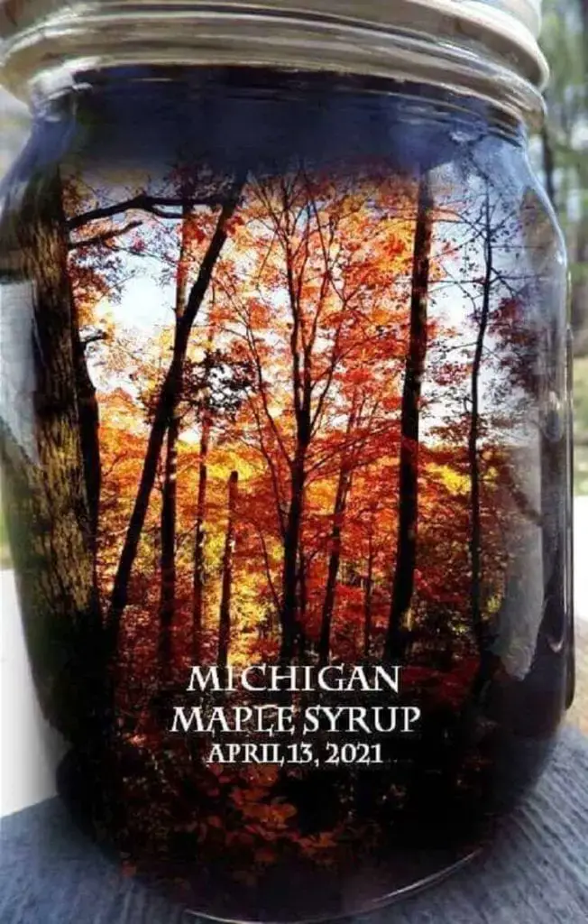 Jar of Syrup With Reflected Maples