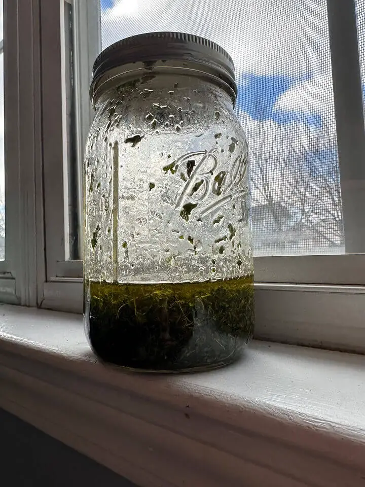 Jar on Windowsill