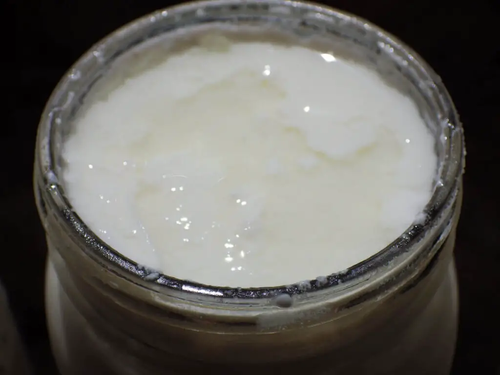 Jar Raw Yogurt Unfiltered