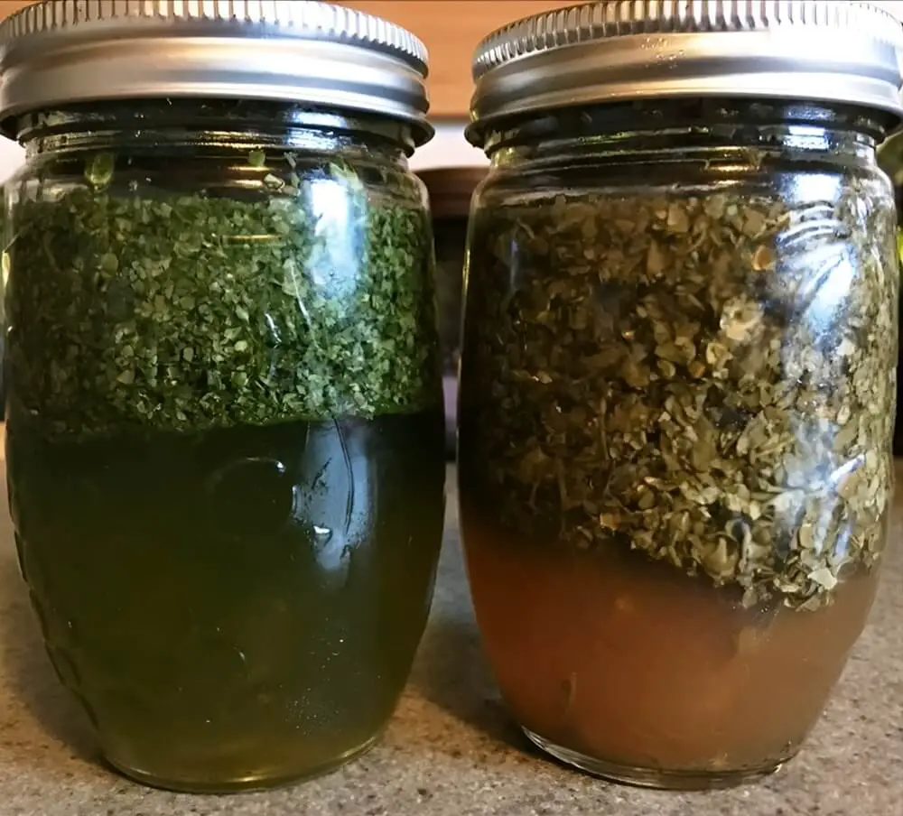 Jars Ready To Store