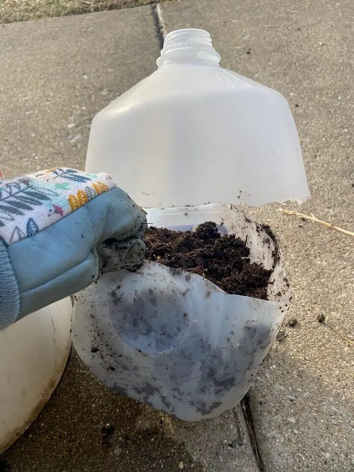 Jug Filled with Soil